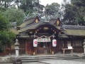 安居神社游玩攻略，安居神社游玩攻略大全