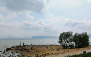 深圳湾公园游玩攻略，深圳湾公园游玩攻略 漫步公园尽享海天之美