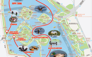 南京市玄武湖游玩攻略，南京玄武湖游玩项目